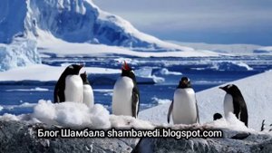 КОВАРСТВО СТРАНЫ АГАРТИ ИЛИ ТАЙНЫ АНТАРКТИДЫ- ВАЛЕРИЯ КОЛЬЦОВА _Блог Шамбала shambavedi.blogspot.co