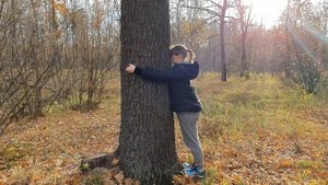 Биоэнергетика. Улучшаем свою энергетику при помощи деревьев.