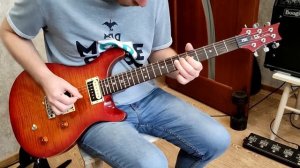 PRS SE Custom 22