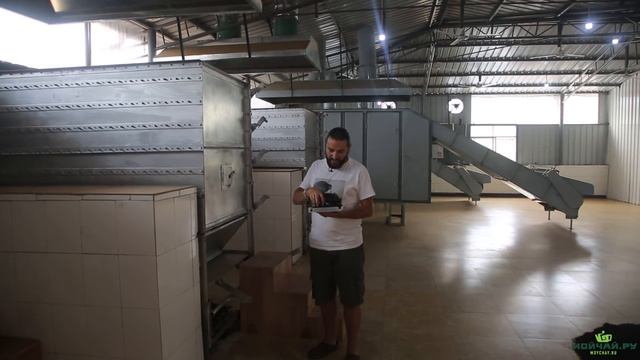 Как делают настоящий красный чай. Юньнань, округ Пуэр. Часть Первая. смотреть онлайн