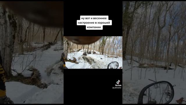 ну, поехали! первое солнце и первый лес в этом году!