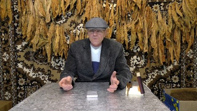 Посев семян табака на рассаду, Вопрос - Ответ. смотреть онлайн