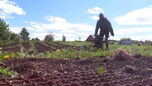 Культиватор "муравей" на базе бензопилы "дружба"