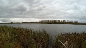 Клевая рыбалка на р. Сухая Табола (часть 3)