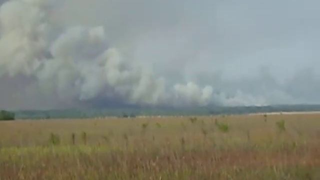 Горит Бузулукский Бор Национальный парк смотреть онлайн