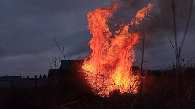 Качим метельчатый, сжигание. смотреть онлайн