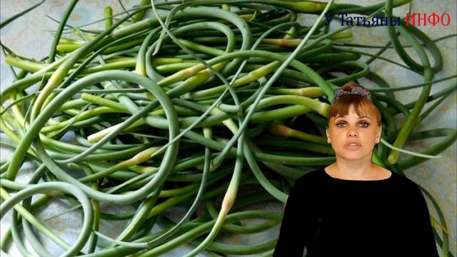 Как избавиться от муравьев 10 СПОСОБОВ! смотреть онлайн