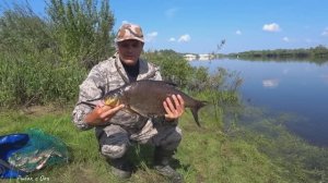 Рыбалка на Донки/Фидер на сильном течение на ОКЕ! Ловится уже вся белая рыба!