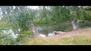 Мартьяновские просторы