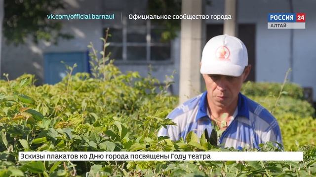 "На первом плане. Барнаул": Какие перемены происходят в самом старом парке города смотреть онлайн