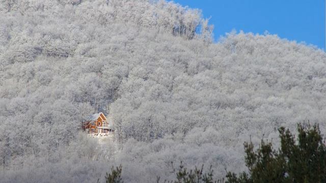 Вы интроверт, если... (Признаки интроверта)