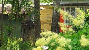 Заброшенная дача