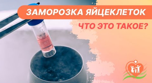 ❄️ Заморозка яйцеклеток - что это такое?