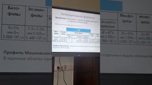 Как запомнить лейкоцитарную формулу?