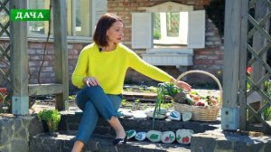 ПЛАНИРОВАНИЕ ПОСАДОК НА ОГОРОДЕ - севооборот, смешанные посадки, совместимость растений