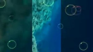 Голубая лагуна. Дахаб Египет