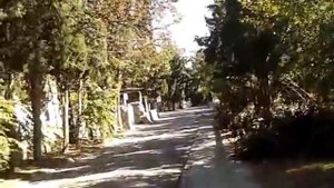 Гурзуф Артековская