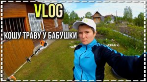 VLOG | Кошу траву у бабушки | 31.05.2020 год