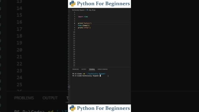 How To Use The Sleep Function | Python For Beginners