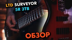 LTD SURVEYOR-5R 3TB - обзор бас гитары, звучание, тест