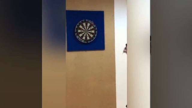 Открытый урок игры в дартс  Набор очков. Тренер-преподаватель Шунихин А.Г.