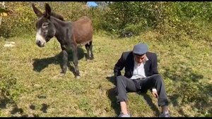 Серго разговаривает с  ишак