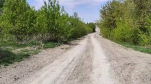 деревня Ростислаевка, Карсунский район, Ульяновская область. 11.05.2023г.