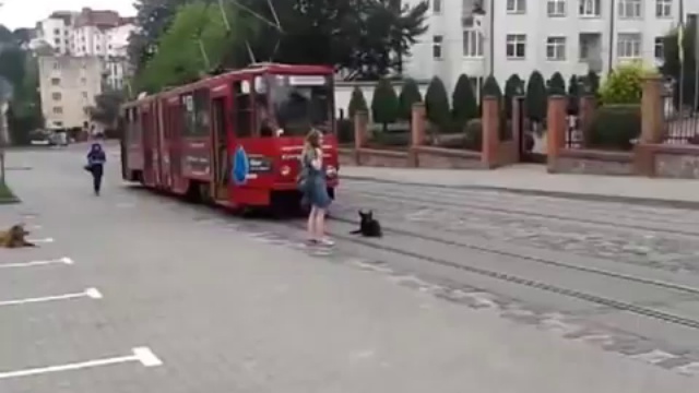 Понаехали тут