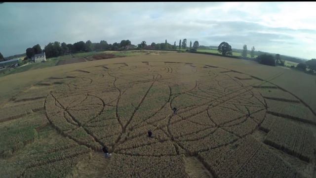 #КругиНАполях Как подделывают круги на полях? смотреть онлайн