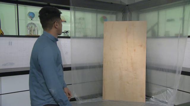 What Are Momentum and Impulse? | Physics in Motion смотреть онлайн