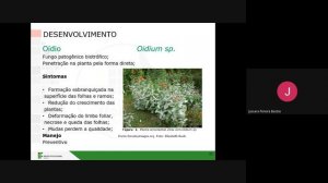 Video Aula, Encontro 1, Módulo 8, Controle Químico de Doenças de Plantas Ornamentais