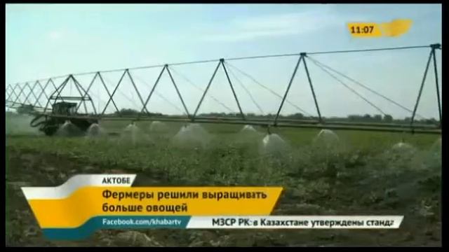 Актюбинские фермеры наращивают производство овощей смотреть онлайн