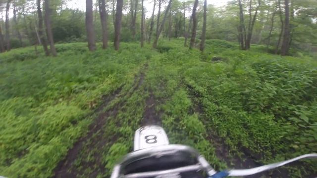 Совсем заросли наши любимые тропинки в лесу(часть 1) смотреть онлайн