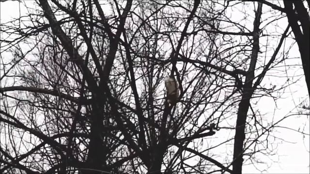 ОГРОМНАЯ РЫЖАЯ КРАСИВАЯ ВЫТЕСНИЛА НА НУ смотреть онлайн