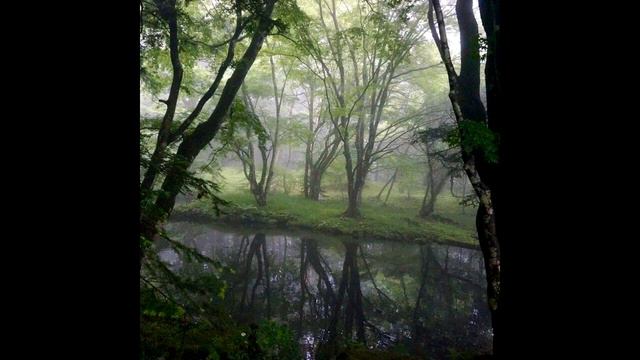 [FREE] Iayze x Jace Type Beat - "Legit" смотреть онлайн