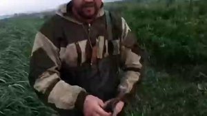 Щенок курцхаара 10 месяцев первая самостоятельная работа