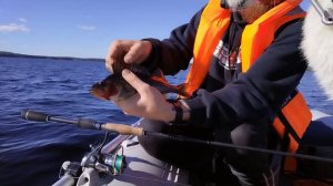 Рыбалка на Верхнем Куйто. Северные "шхеры"