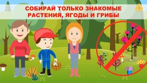 ПРАВИЛА БЕЗОПАСНОГО ПОВЕДЕНИЯ В ЛЕСУ (2)