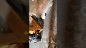 рохля