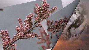 Красивейшая музыка нежности для души и сердца... Кай Метов -- Нежность твоих рук
