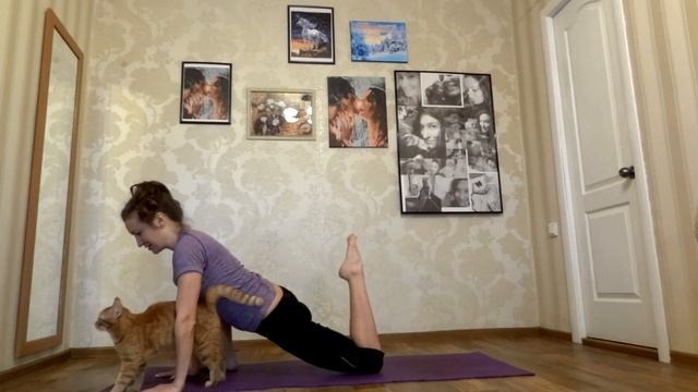 Stretch. Растяжка с Еленой Малининой смотреть онлайн