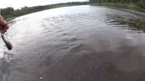 Рыбалка в Коми 2022г. Ловим хариуса , язя, окуня, щуку.
