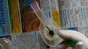 Волшебный одуванчик в эпоксидной смоле/DIY/ Мастер класс