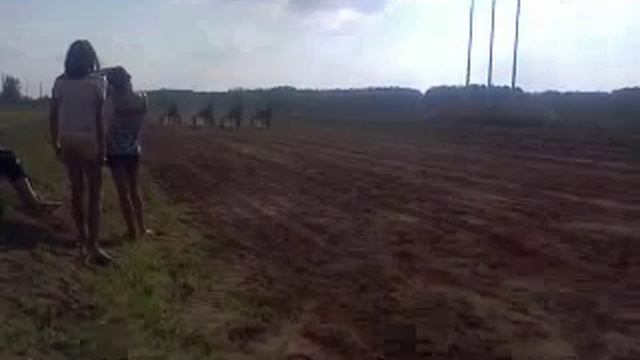 Набережные Челны, Кубок мэра по конному спорту, 2.08.2013 смотреть онлайн