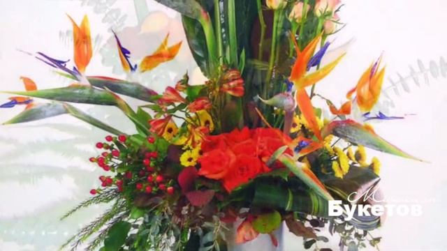 Букеты из стрелиций от интернет-магазина Миллион Букетов смотреть онлайн