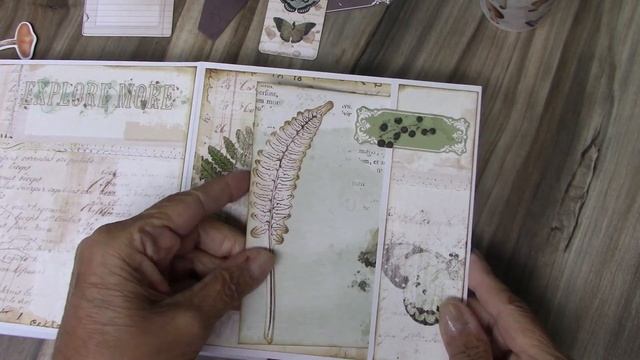 Nature Study - Mini album by Nancy смотреть онлайн