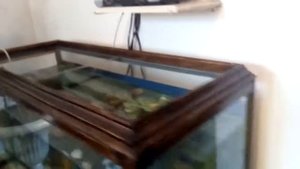 Декор аквариума, своими руками! ч. 2.