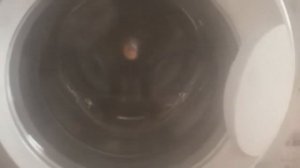 Washing machine indesit WIL82 Spin