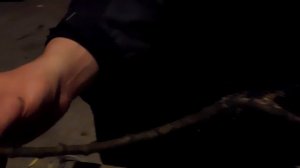 Зимняя прививка улучшенной копулировкой. Как вырастить саженцы?