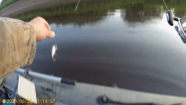 Спиннинговая рыбалка на реке сосьва 22.06.2023 смотреть онлайн